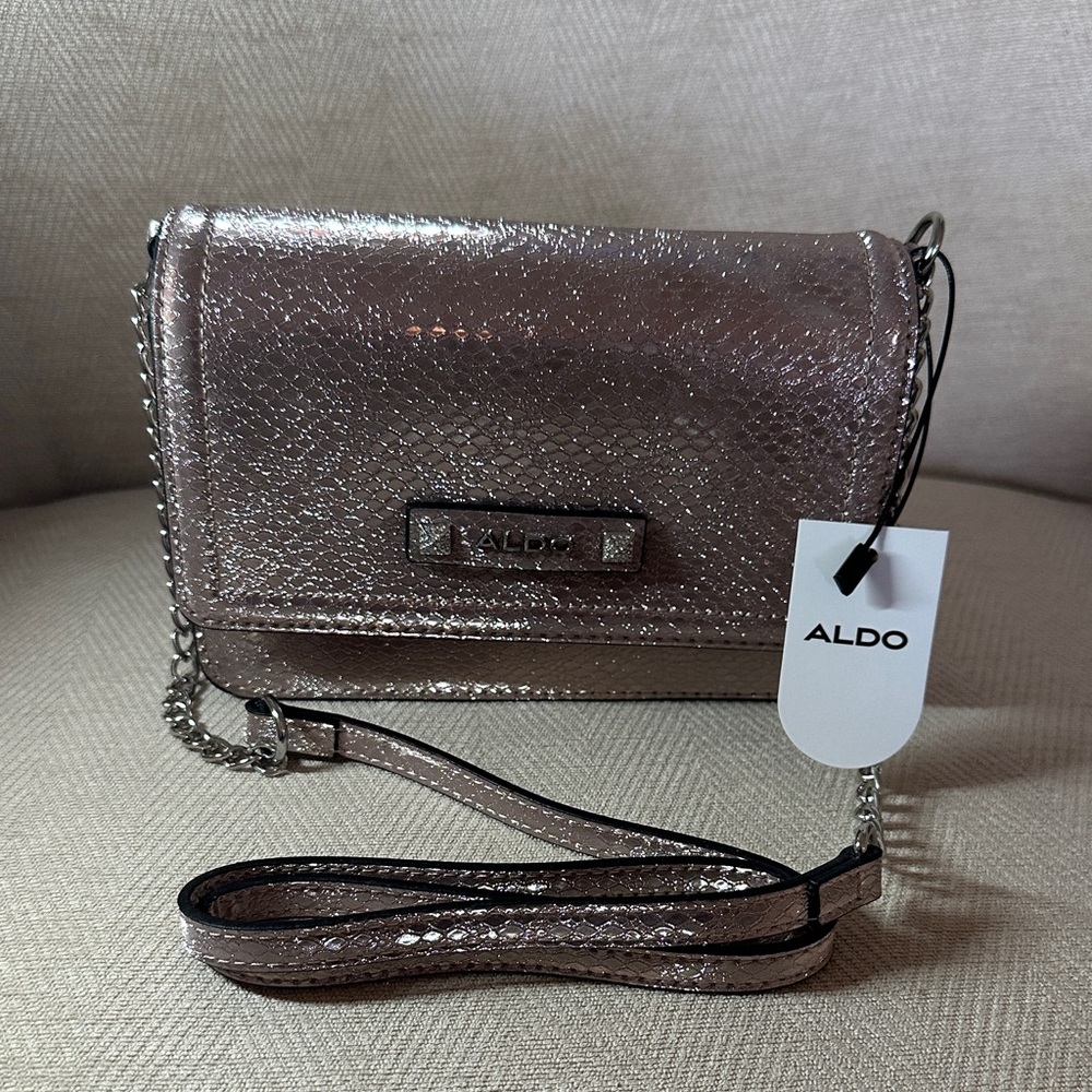 Aldo Shimmering Silver Crossbody Bag
